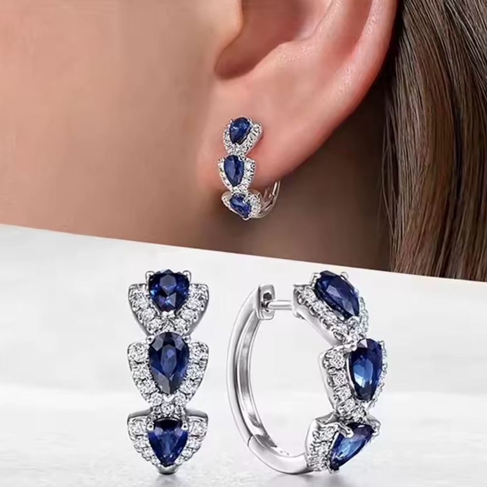 Elegant Silver and Blue Gemstone Earrings